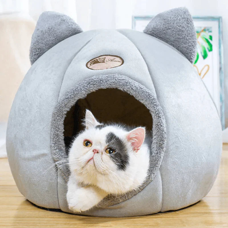 Caminha Iglu para Pet