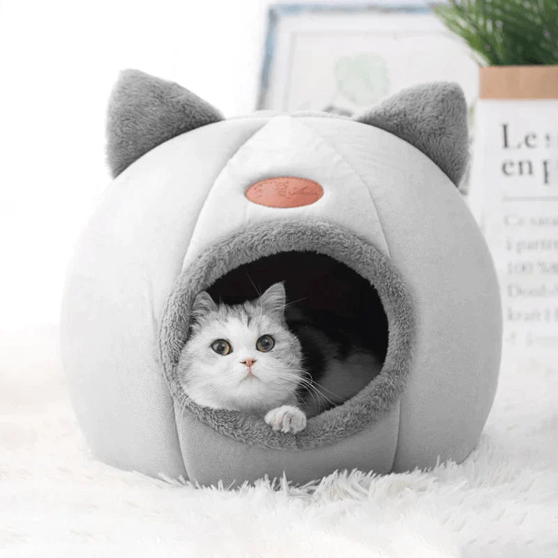 Caminha Iglu para Pet